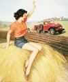 Walt Otto - hay